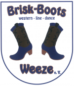 Logo Brisk-Boots